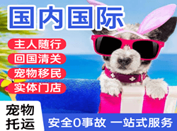 鄂州花湖机场托运国际宠物托运 【国
